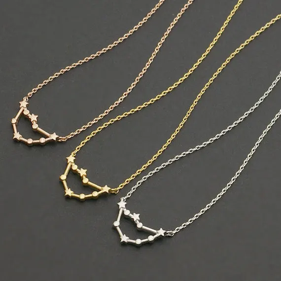 Daisies 1pc Abstract Capricorn Necklace 