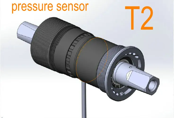 T2