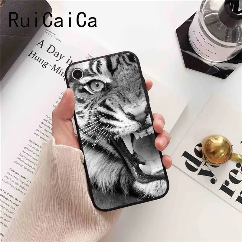 Animal monkey lion tiger leopard shark dog