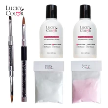 Розовая акриловая пудра для ногтей, 20 г, для картин, 3D гель для ногтей, Набор для творчества, прозрачный цвет, акриловая жидкость и очищающее средство, 30 мл, поставки