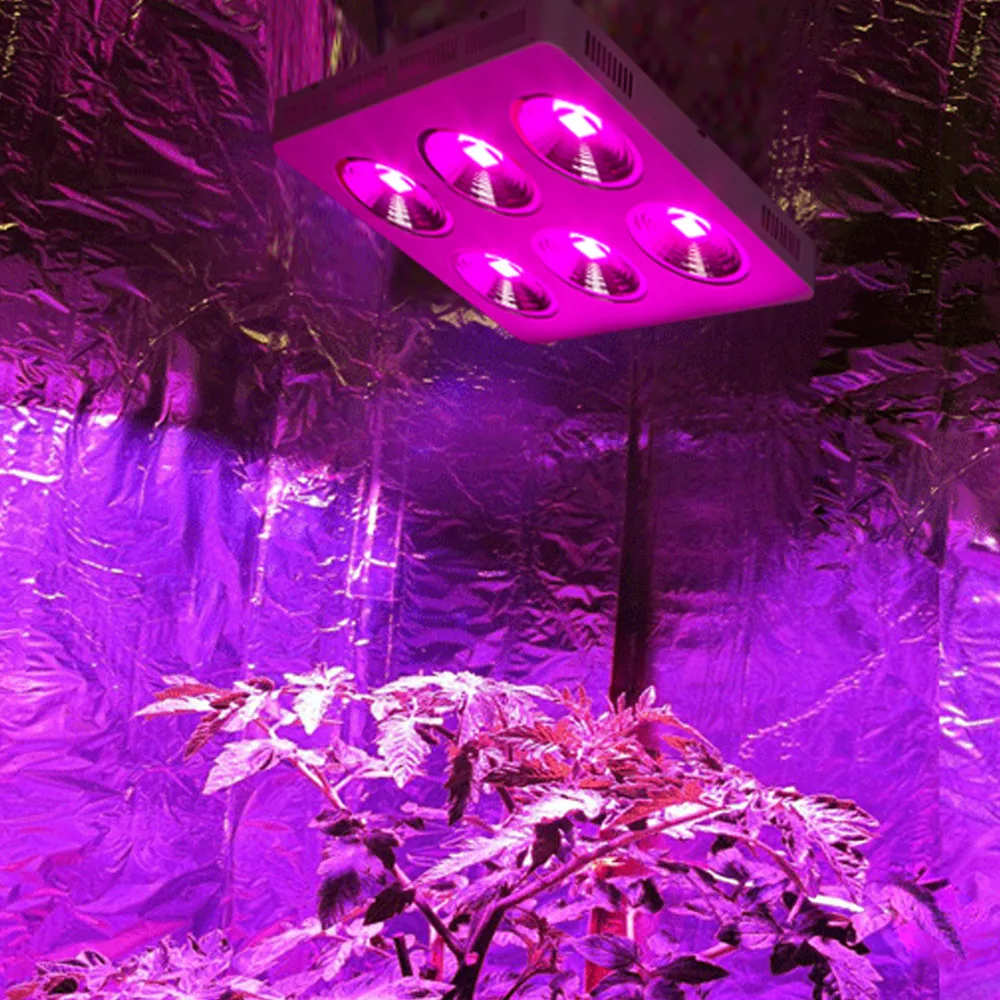 Buy populargrow 1200w COB Full Spectrum Led Grow Light