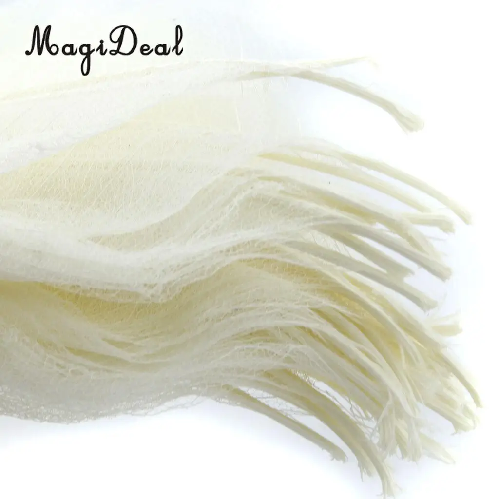 MagiDeal 50Pcs Natural Magnolia Skeleton Leaf Leaves Card Scrapbook White Wedding Party Decor Skeleton Leaves