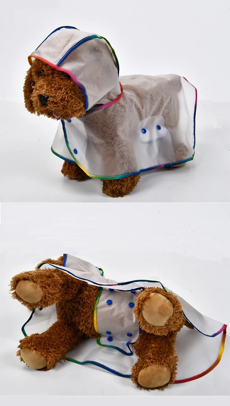 DOG_04