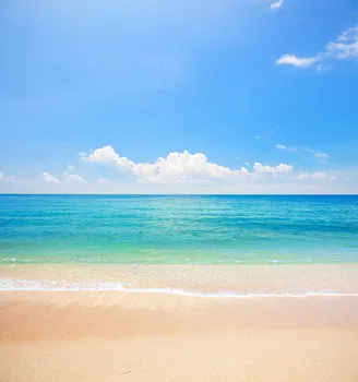 

Baby Children Photography Backdrops,Customize photo background for studio portraits photoshoot,seaside beach backdrop D-2015
