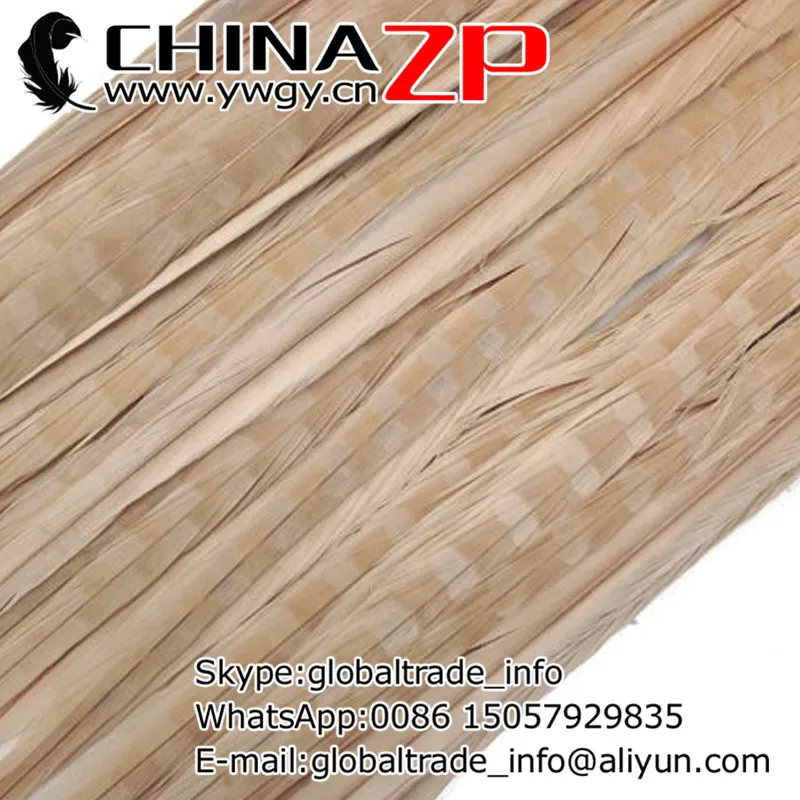 

Leading Supplier CHINAZP Factory 100pcs/lot 20-22inch (50-55cm) Length Top Quality Dyed Ivory Ringneck Pheasant Tail Feathers