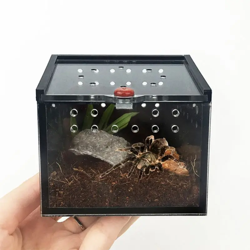 Акриловая коробка для кормления рептилий насекомые ящерица паук клетка для разведения инкубационный контейнер аксессуары для рептилий