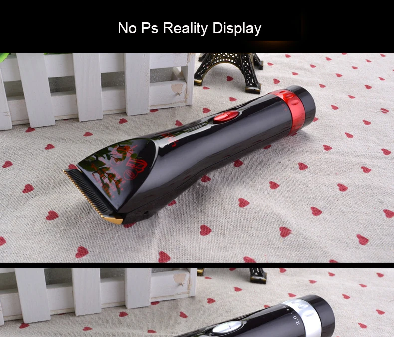 3803321342_822936908