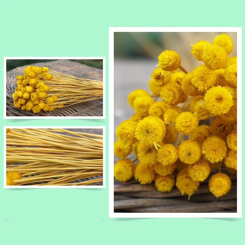 50pcs/lot Natural Art Dried Fake Flower Arrangement Party DIY Artificial Flower for Home Garden Decoration Valentine's Day Gift 50pcs/lot Natural Art Dried Fake Flower Arrangement Party DIY Artificial Flower for Home Garden Decoration Valentine's Day Gift