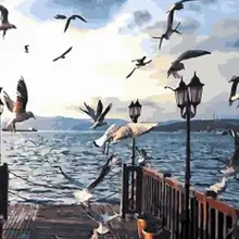 6957 кофе день с птицами-краска комплекты номеров для взрослых DIY