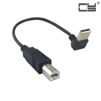 

Chenyang USB 2.0 A Type Male Up Angled 90 Degree to B Type Male Adapter Cable Cord for Printer Scanner Hard Disk 20cm
