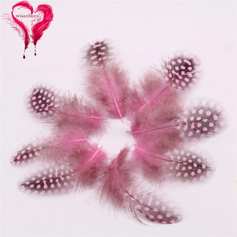 4 pink guinea fowl feather 1