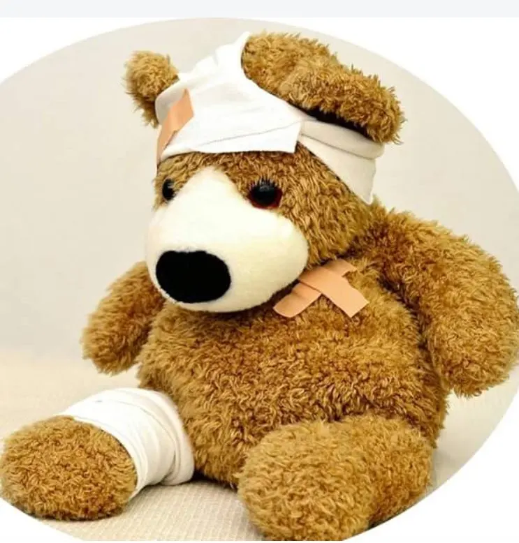teddy bear cloth