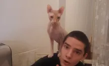 K***v