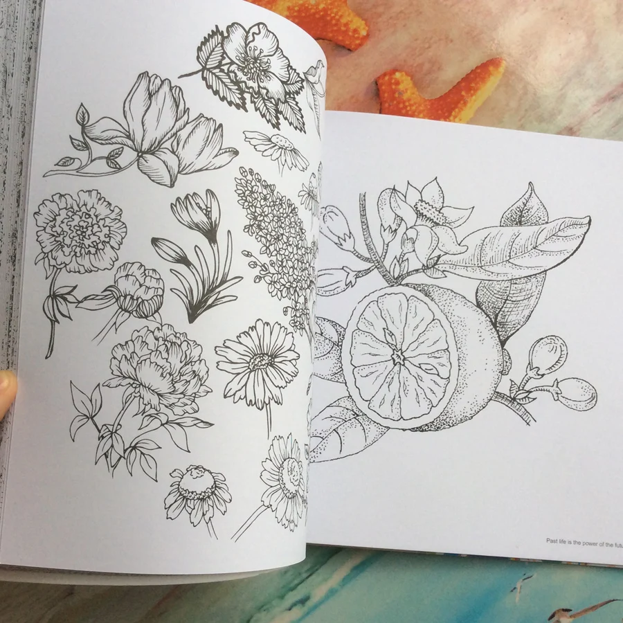96 Pages Wonderland Explore Coloring Books For Adults Children Relieve Stress Graffiti Painting Drawing art coloring books 96 Pages Wonderland Explore Coloring Books For Adults Children Relieve Stress Graffiti Painting Drawing art coloring books