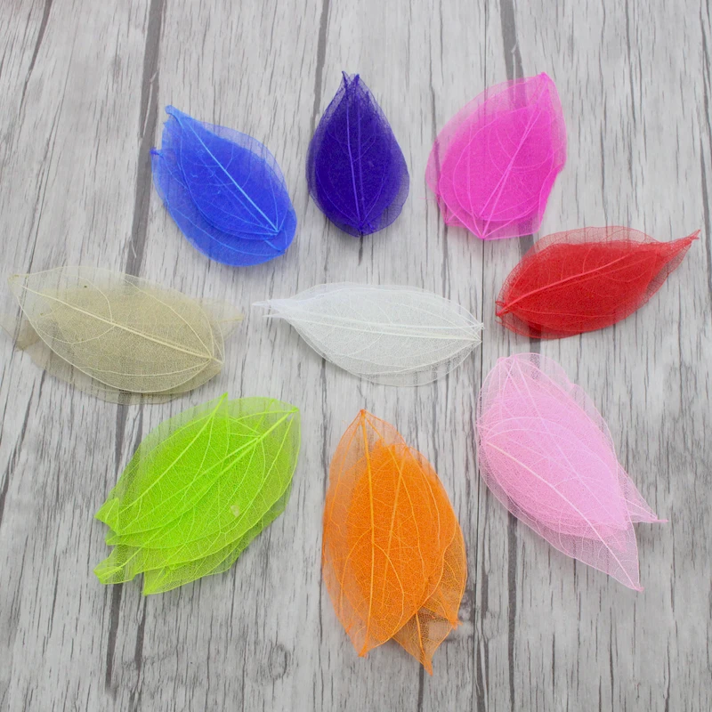 

36pcs Approx 6.5*3cm multicolor for choose Natural skeleton leaves for DIY C0704