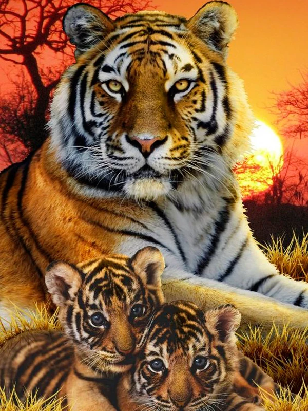 Diamond Painting Full Drill Tiger Cross-Stitch DIY Diamond Embroidery Cartoo round resin Diamond Mosaic Home Wall decor painting - Цвет: FAO1013