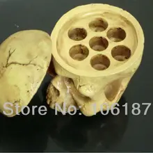 5 шт. череп Тип жесткая Смола чернильница для тату/колпачки-держатели татуировки аксессуары для чернильница для тату s поставка