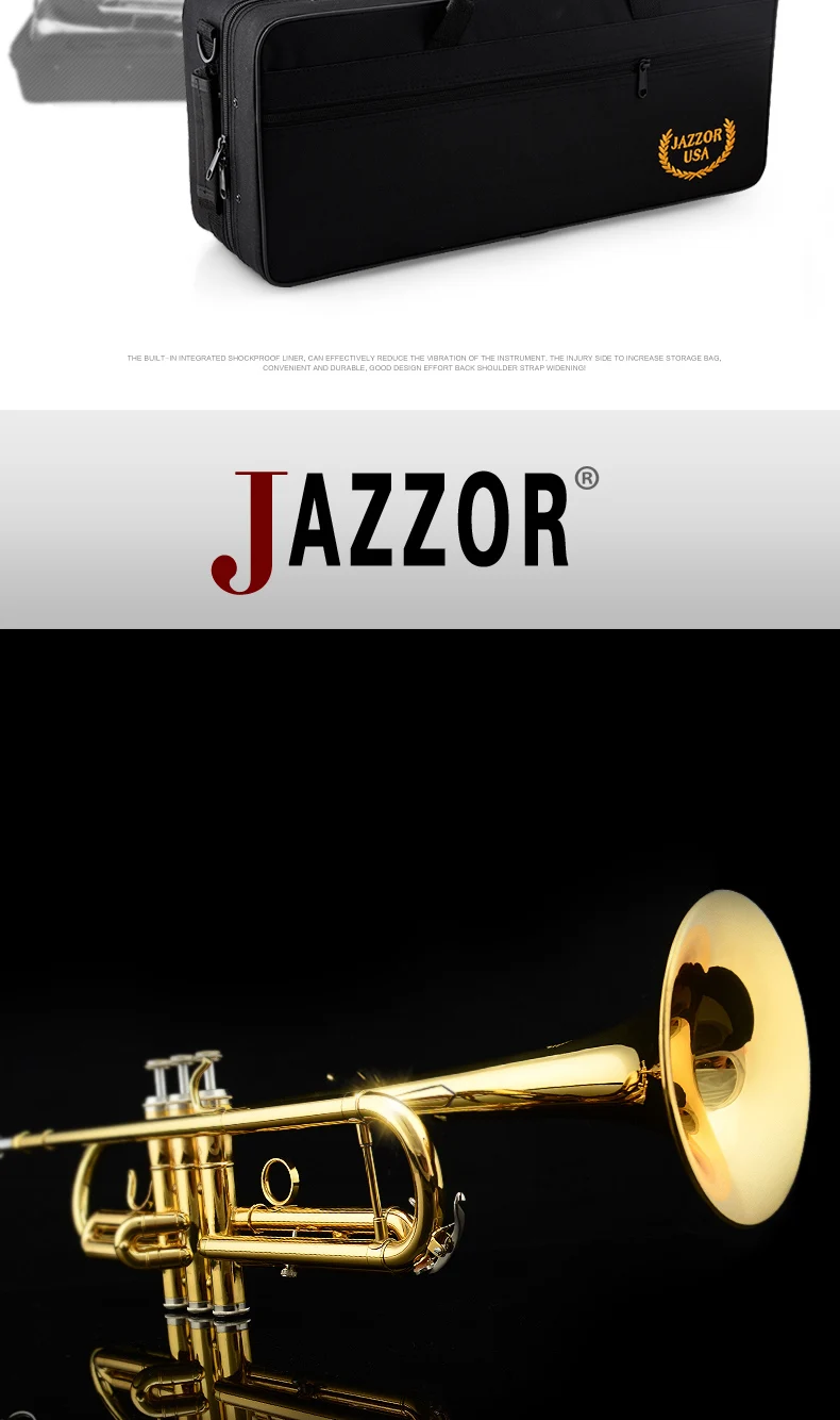 JZTR-300_10