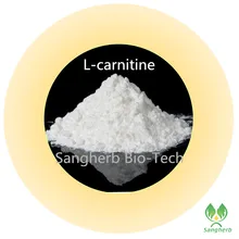 200 grams free shipping Pure natural Weight lose ingredients L carnitine powder l carnitine powder