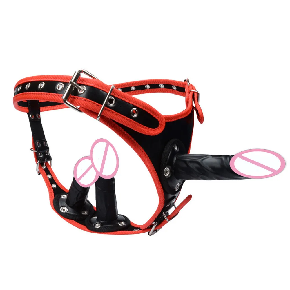 9213611900_1432264107