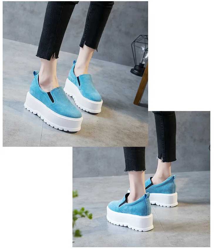 8015219496_2104939880_