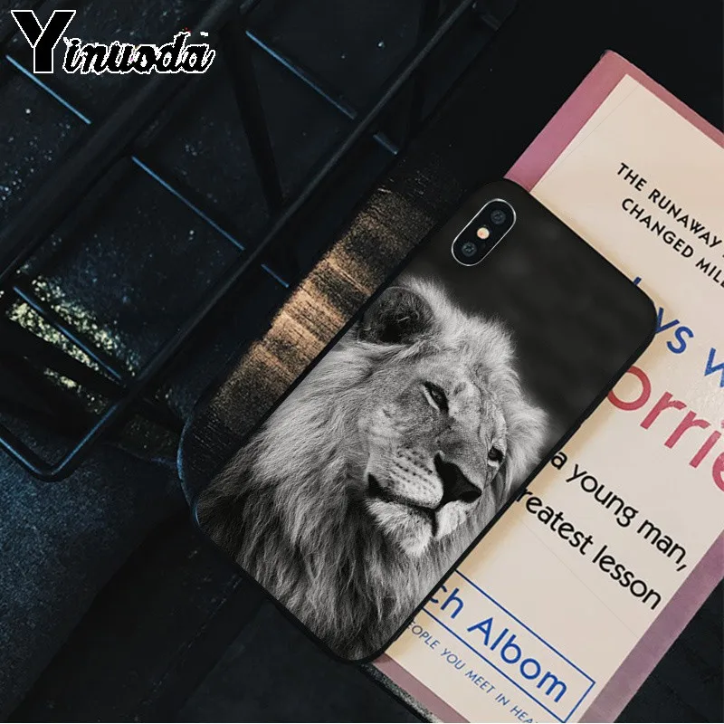 Animals The lion