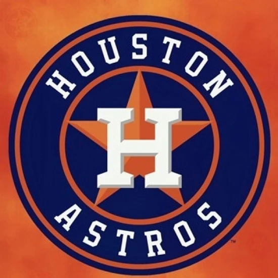 Houston Astros - Logo 2013 Laminated Poster Print (22 x 34)
