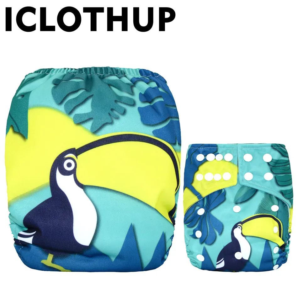 bird