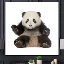 Animal wall art Poster Home Decor picture panda Canvas Painting Unframed prints Giclee Paintings for baby room painting