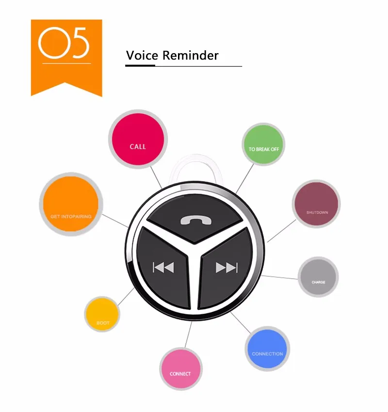 2582278942_1866479995_01