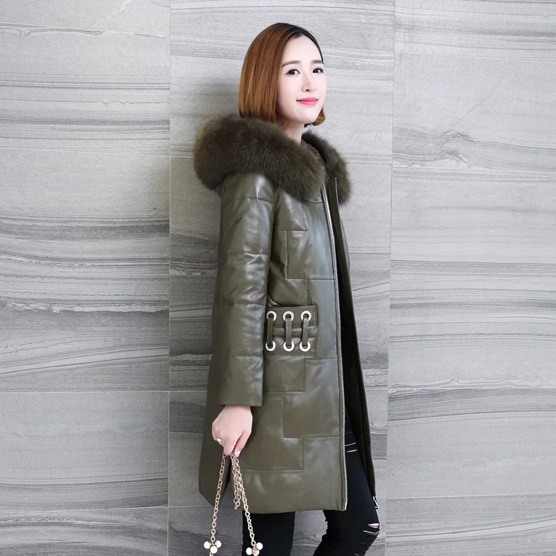 LF4255 (2)