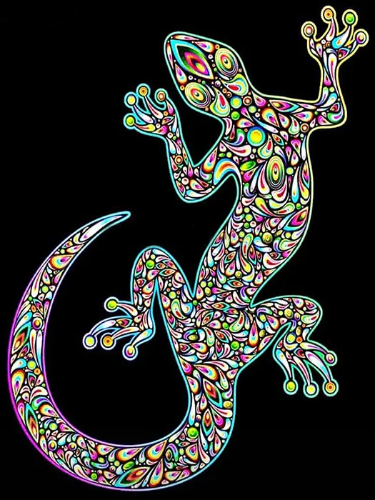 HTB1oFnXXNjaK1RjSZKzq6xVwXXas