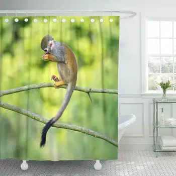 

Shower Curtain with Hooks Green Portrait of Common Squirrel Monkeys Saimiri Sciureus Sitting on Tree Branch Peru Bathroom