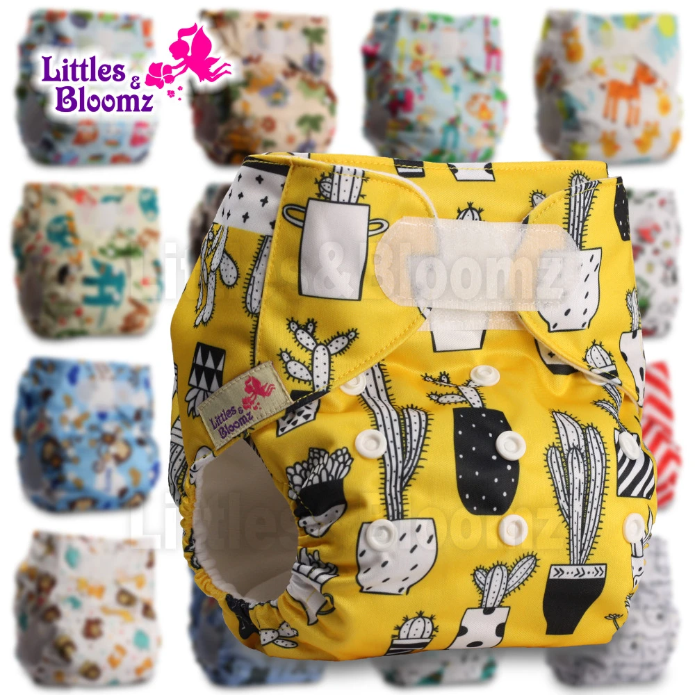 Without Insert Reusable Pocket Cloth Nappy Set of 1 Littles & Bloomz Pattern 6 Fastener: Hook-Loop Without Insert Reusable Pocket Cloth Nappy Set of 1 Littles & Bloomz Pattern 6 Fastener: Hook-Loop