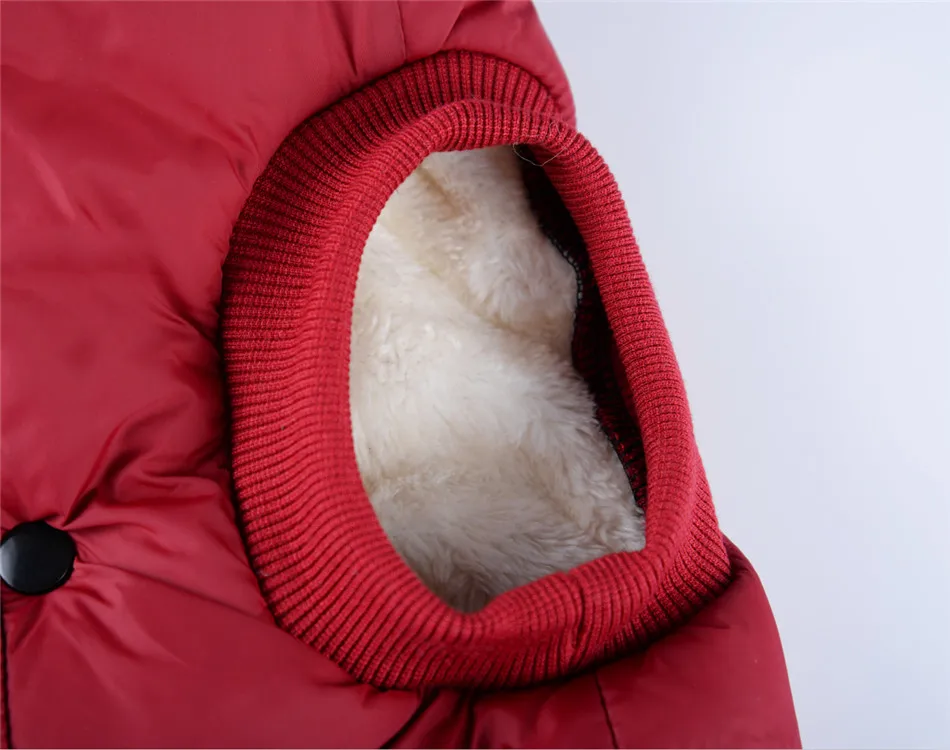 Dog Clothes Winter (33)