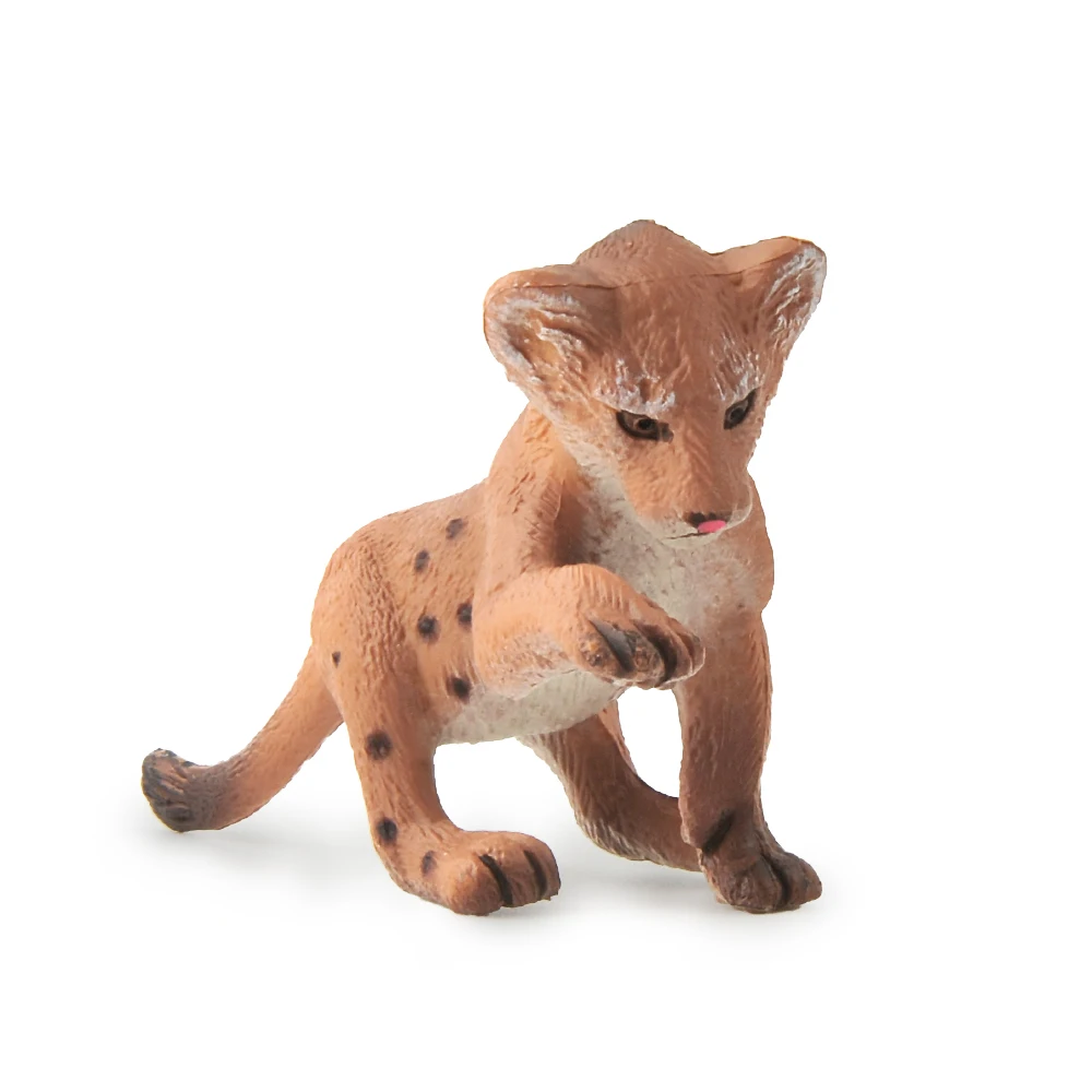 白底5