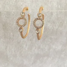 Ювелирные изделия носили золото ROSEGOLD покрытие серебристого цвета ясно камень круг серьги