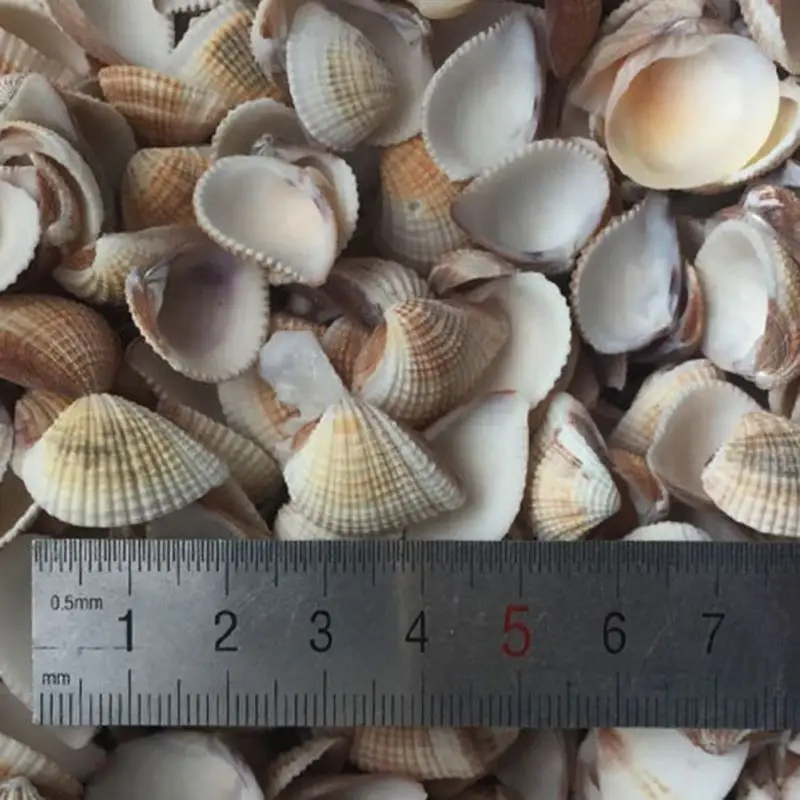 RL0638B (3)