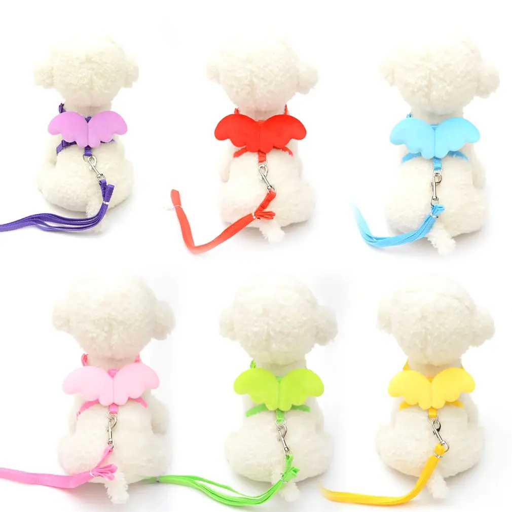 Cute Angel Pet Dog Leashes and Collars Set Small Cats Puppy Leads Wing