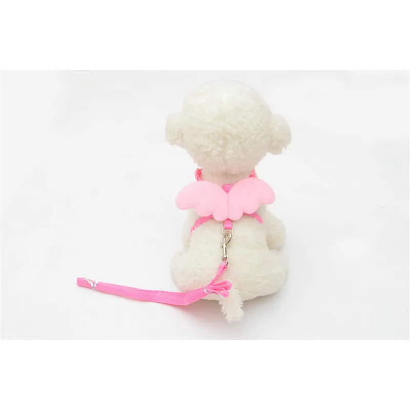

Cute Angel Pet Dog Leads and Collars Set for Small Pet Designer Wing Adjustable