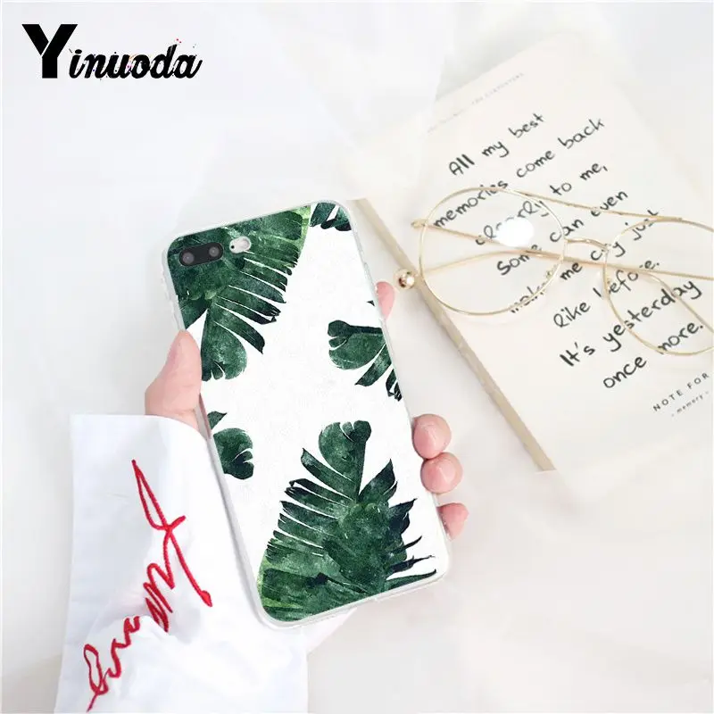 Tropical Plants Cactus Banana Leaves