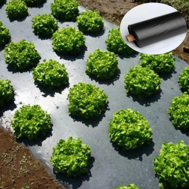Black Plastic Mulch 1*10M/1*20M /1*30m Vegetables Fruits Garden Cover
