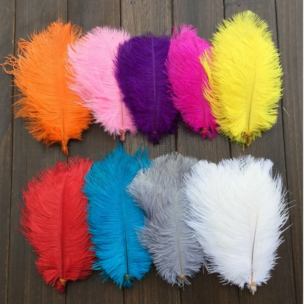 

10PCS Party Fun Special Ungraded Craft Feathers Great For Decoration Parties