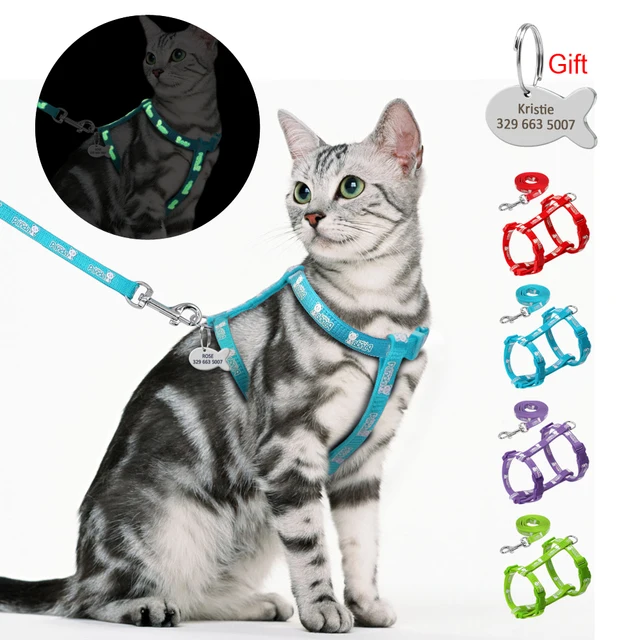 cost nylon material Nylon Customized Id Cat and Leash Tag With Harness Set