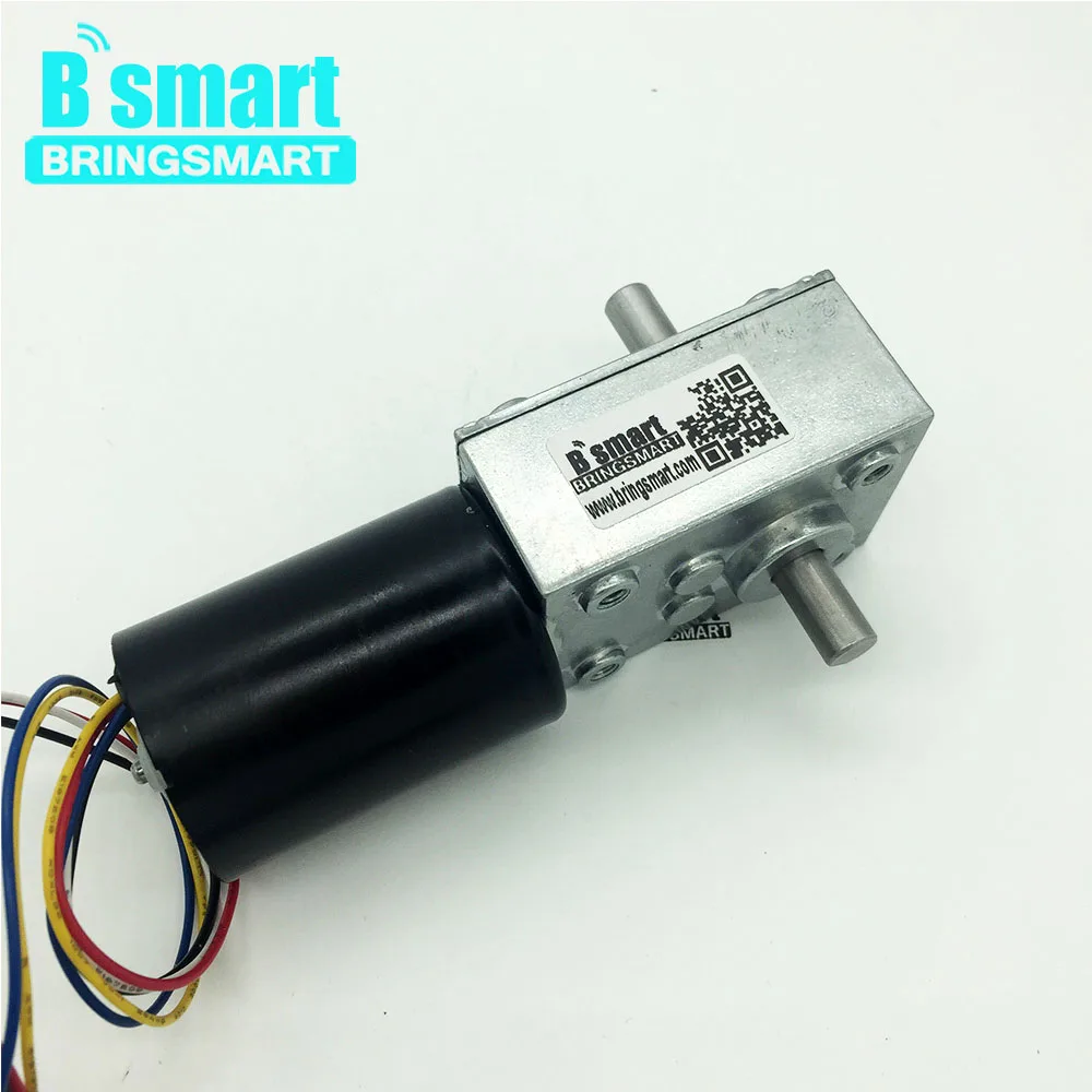 

Bringsmart 12V Double Shaft BLDC Motor 24V Worm Gear Motor Self-locking Gearbox Brake Motor High Torque Mini Turbo-Worm Reducer