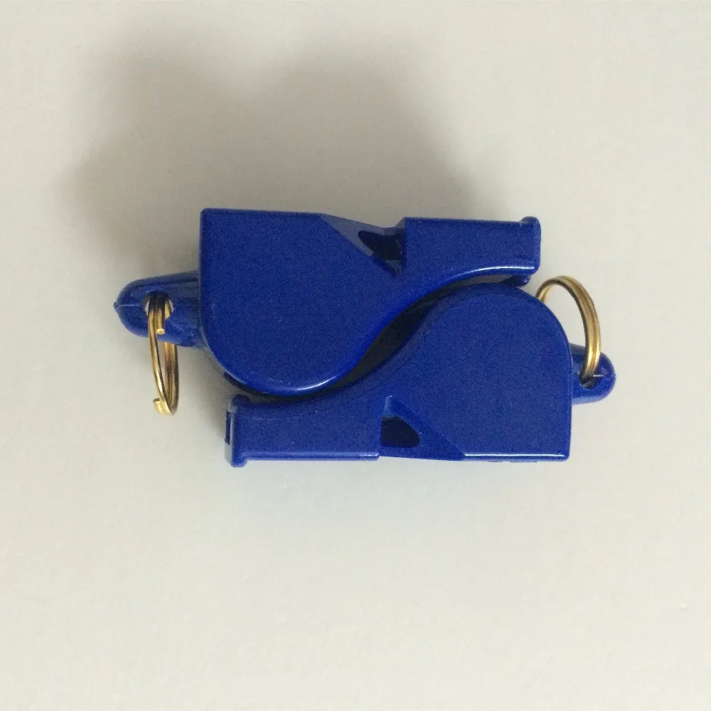 dolphin whistle