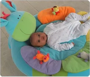 Blossom Farm Sit Me Up Cosy(Donkey)4-2