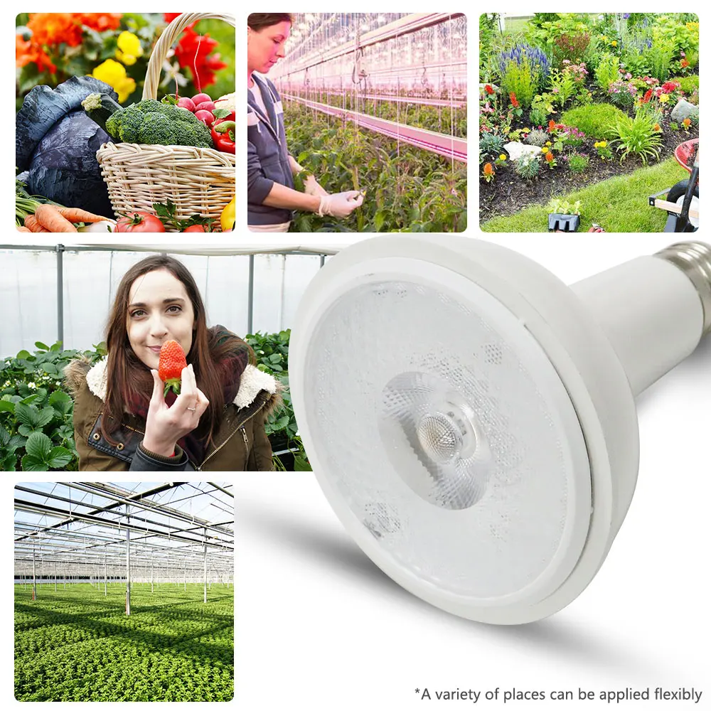 1PCS Full Spectrum COB LED Grow Light CREE CXA1512 20W Growing Lamp Indoor Plant Growth Panel Lighting Plant Veg and Bloom