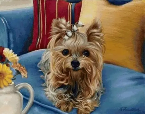 

Yorkshire terrier on the sofa Framed Picture Painting By Numbers DIY Coloring By Numbers On Canvas Colorful Cats Home Decor