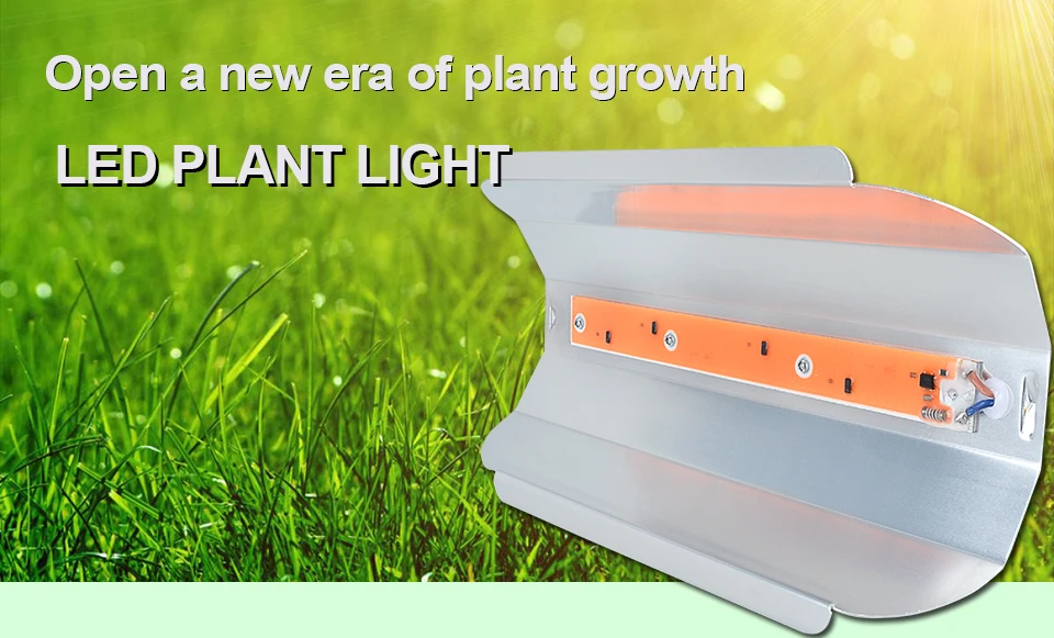 LED PHYTO GROW LIGHTS (1)